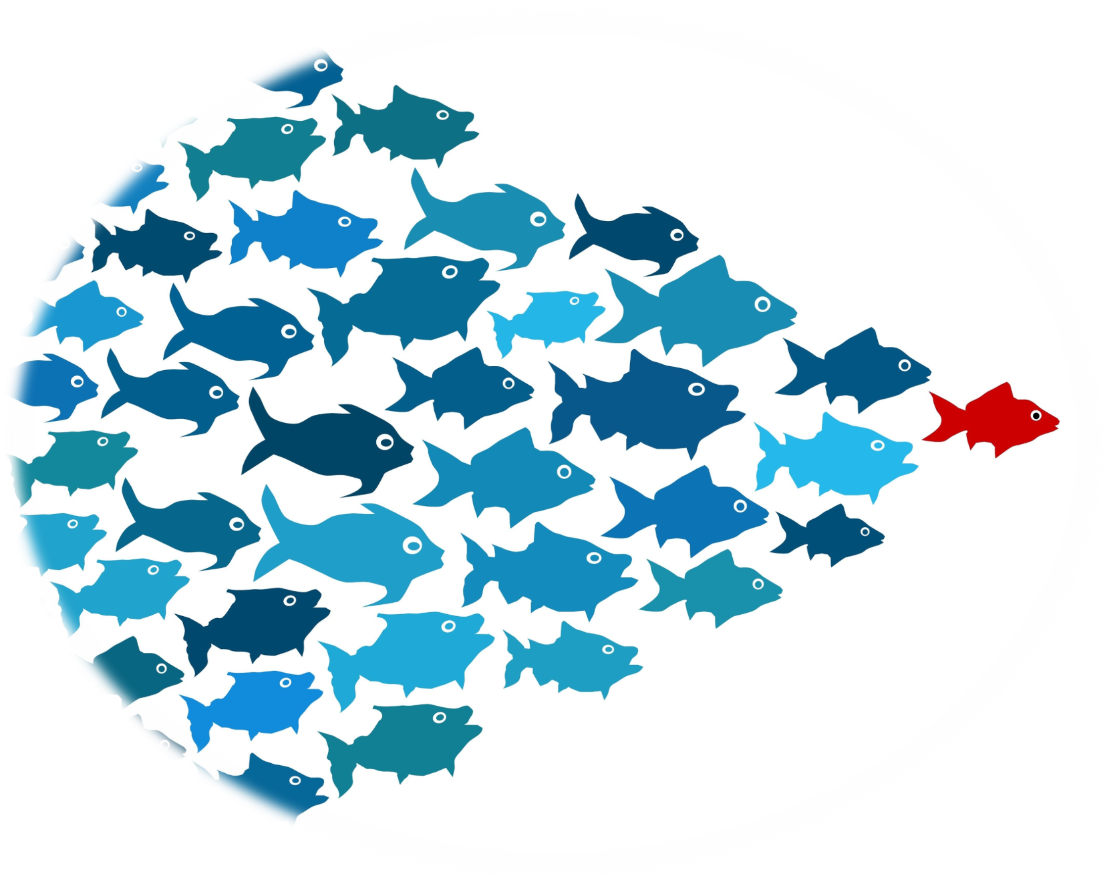 2244 X 1788 2 - School Of Fish Leader (2244x1788)