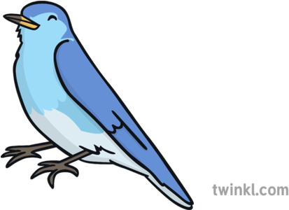 Blue Bird - Mountain Bluebird (630x315)