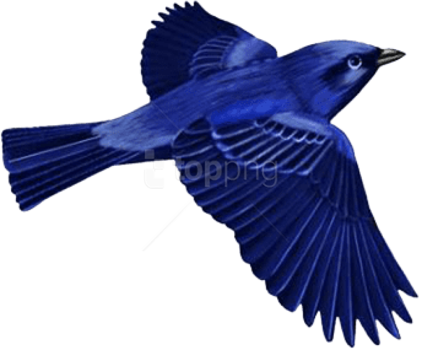 Free Download Dark Blue Bird Clip Art Images Background - Dark Blue Bird Png (850x705)