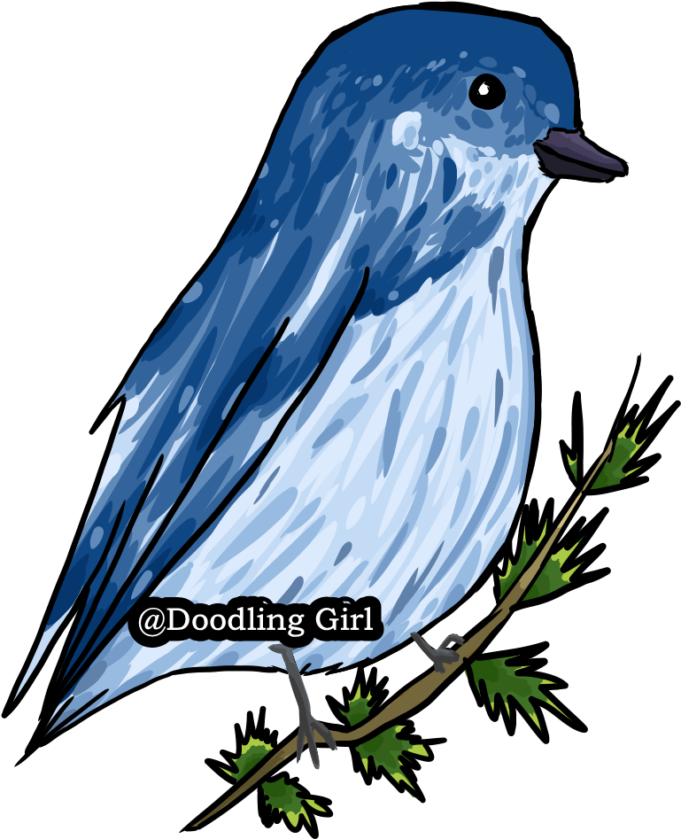 Blue Bird Doodle (1377x2039)