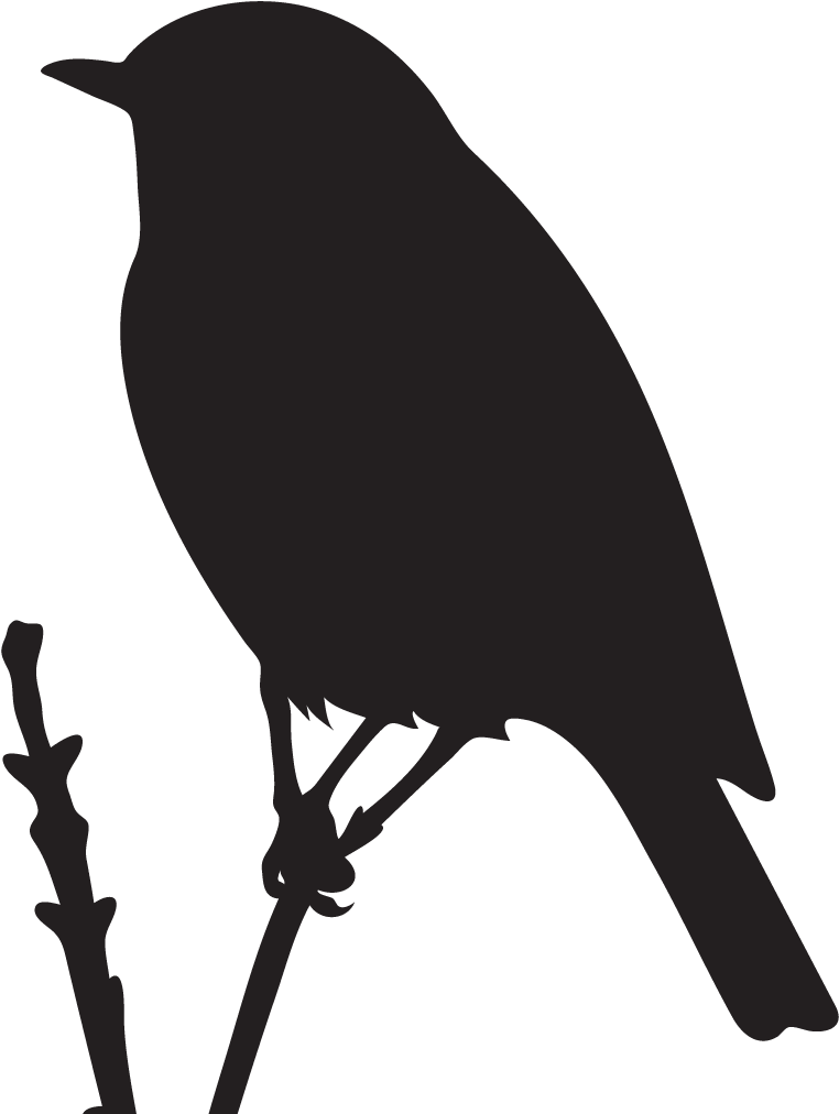 Western Bluebird Cliparts - Bluebird Silhouette (1024x1024)