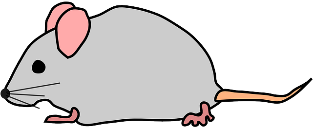 Free Pictures Images Found Cute Mouse Rat - Transparent Mouse Clipart (640x320)