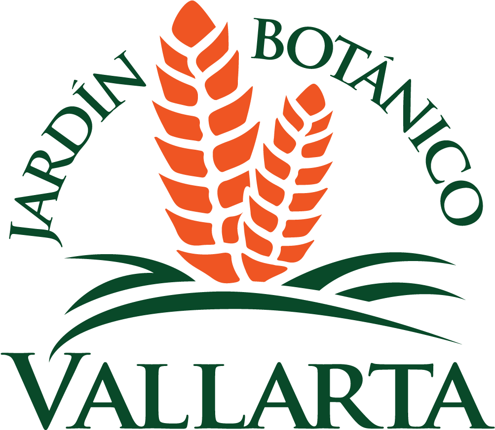 Vallarta Botanical Gardens - Jardin Botanico Puerto Vallarta (1051x916)