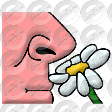 Smell Picture For Classroom / Therapy Use Great Smell - Smell Picture For Classroom / Therapy Use Great Smell (380x380)