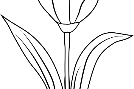 Clip Art Royalty Free Stock Flower Shop Near Me Spring - Illustration (450x300)