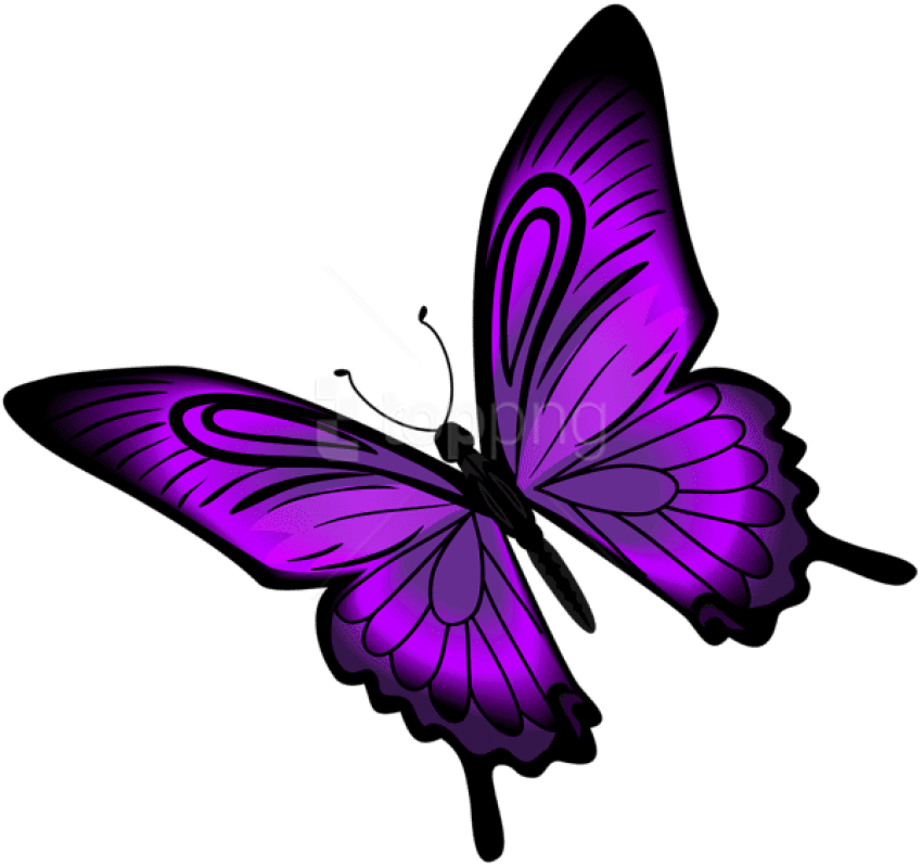 Free Png Download Purple Butterfly Png Clipart Png - Clip Art Purple Butterfly (850x798)