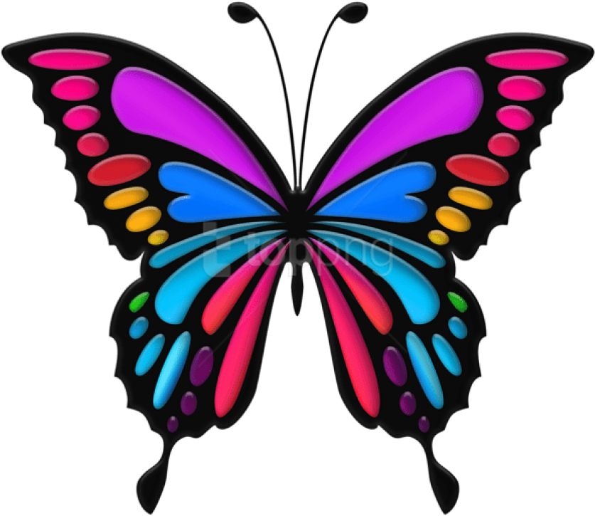 Free Png Download Colorful Butterfly Clipart Png Photo - Colorful Butterfly (850x734)