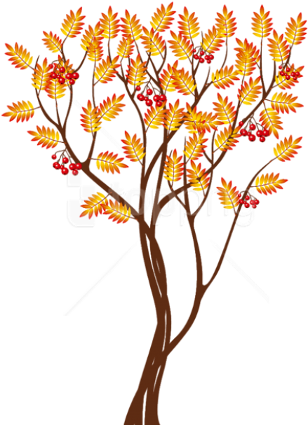 Free Png Download Transparent Autumn Tree Png Images - Autumn Tree Drawing Png (480x620)