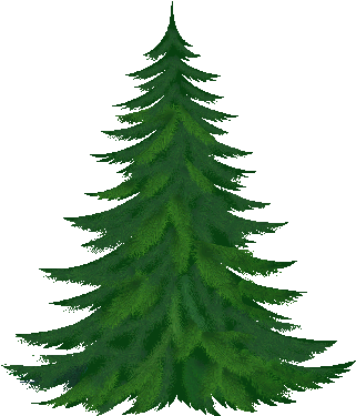 Side Palm Tree Transparent Png Stickpng - Pine Tree Clipart Png (338x395)