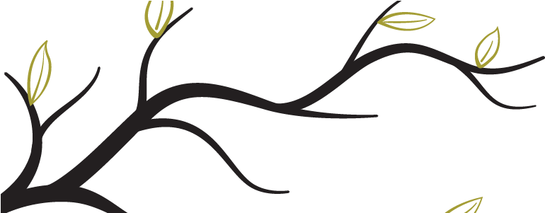 Tree Branch Transparent - Tree Branch Transparent (780x300)