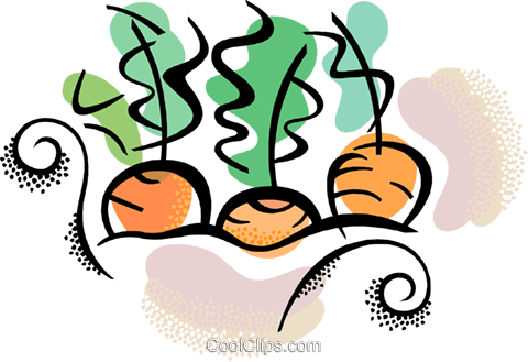 Carrots Royalty Free Vector Clip Art Illustration - Carrots Royalty Free Vector Clip Art Illustration (480x329)