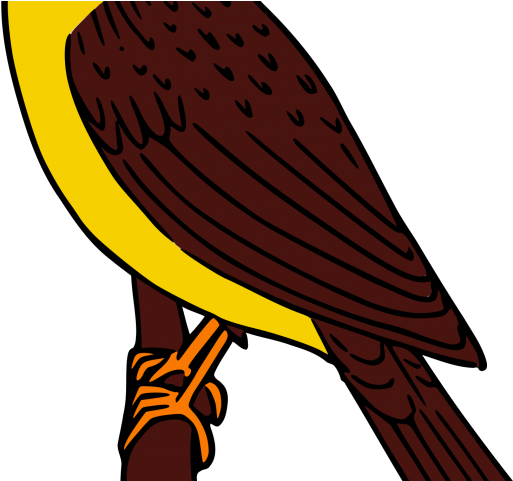 Sparrow Clipart Colorful - Sparrow Clipart Colorful (640x480)