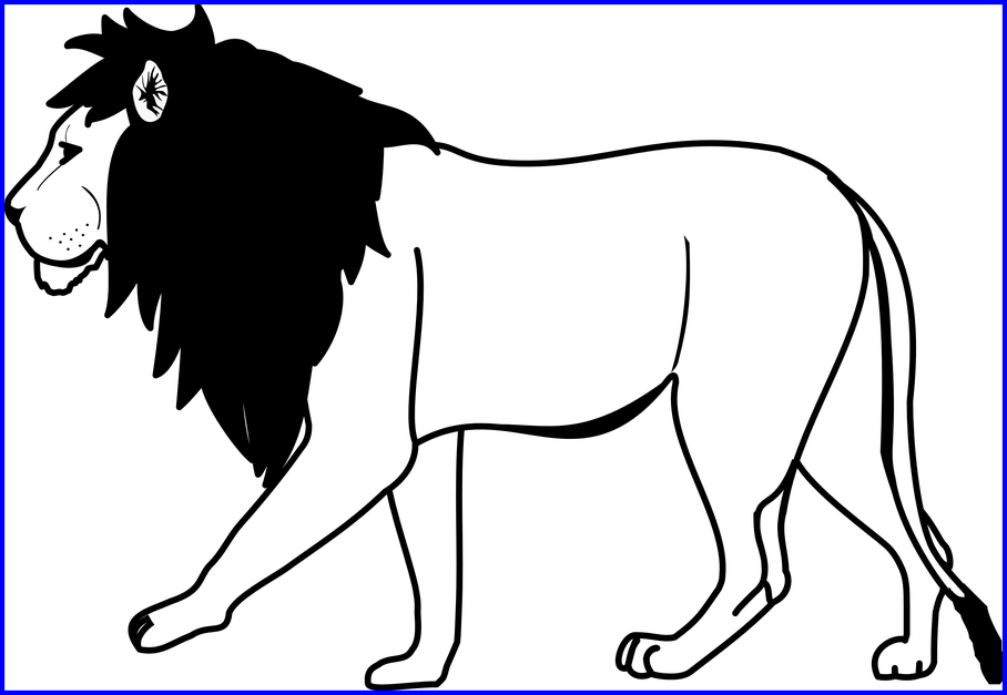 Drawing Clipart Lion - Line Art Lion (908x627)