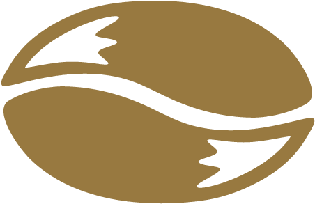 About Our Coffee Beans - Illustration (521x483)