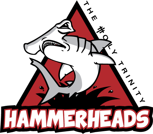 Here Are Some Important Points Regarding Our Spiritwear/dress - Here Are Some Important Points Regarding Our Spiritwear/dress (500x438)