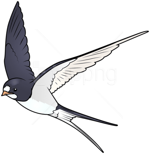 Free Png Download Cartoon Bird Clipart Png Photo Png - Flying Cartoon Bird Transparent (480x495)