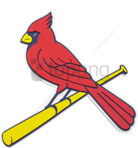 Free Png St Louis Cardinals Mlb 3d Foam Logo Wall Sign - Cardinals Bird On Bat (480x513)