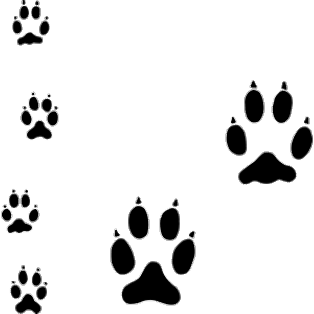 #freetoedit #coyote #paws #tracks #silhouette - Dog Paw Tracks (1024x1024)