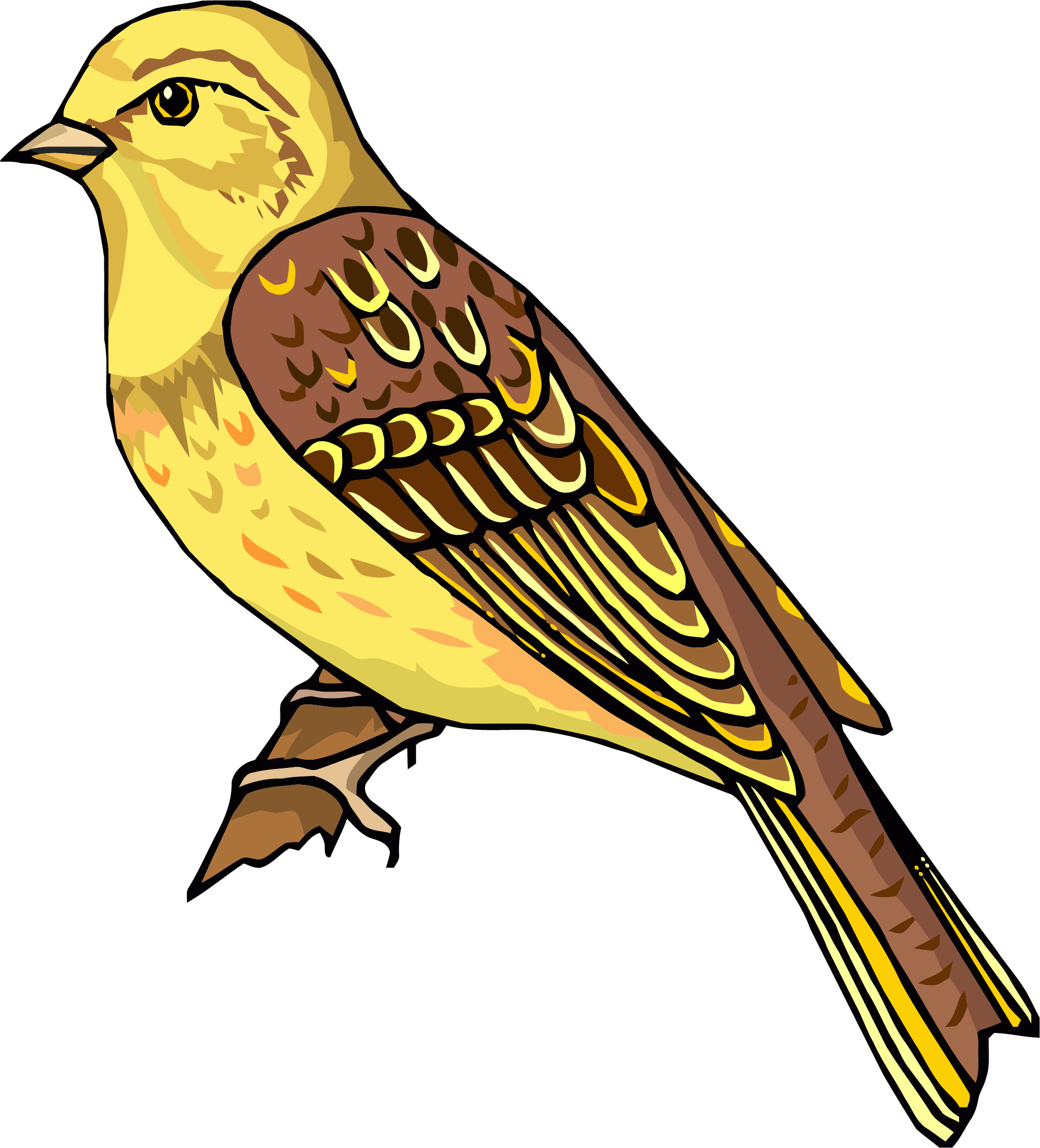 Staying Realistic Bird Clipart Png - Clipart Pictures Of Bird (2043x2256)