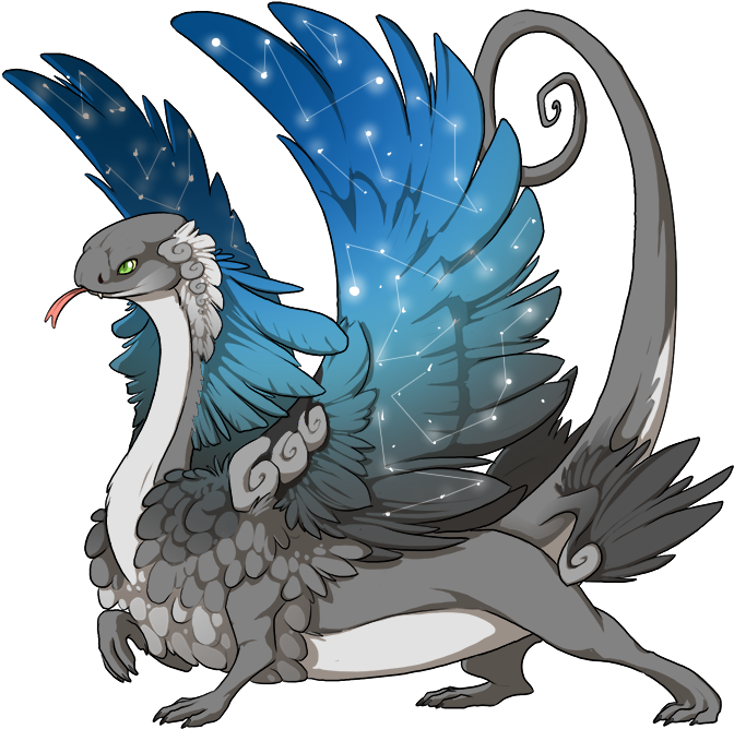 Accent Interest Check Skins And Accents Flight Ⓒ - Portable Network Graphics (750x750)