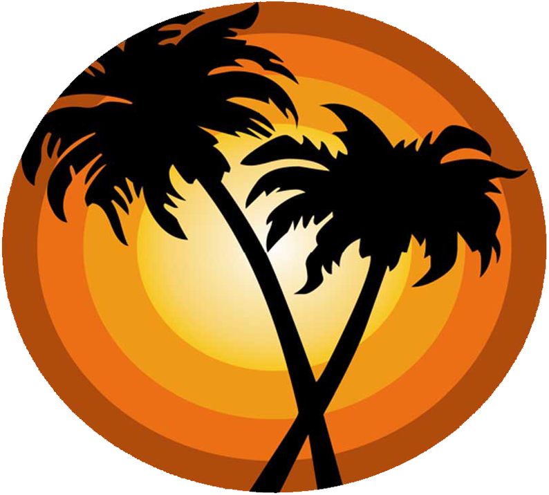 Sol Nation's Debut Album Wins Prestigious International - Palm Tree Icon Png (876x800)