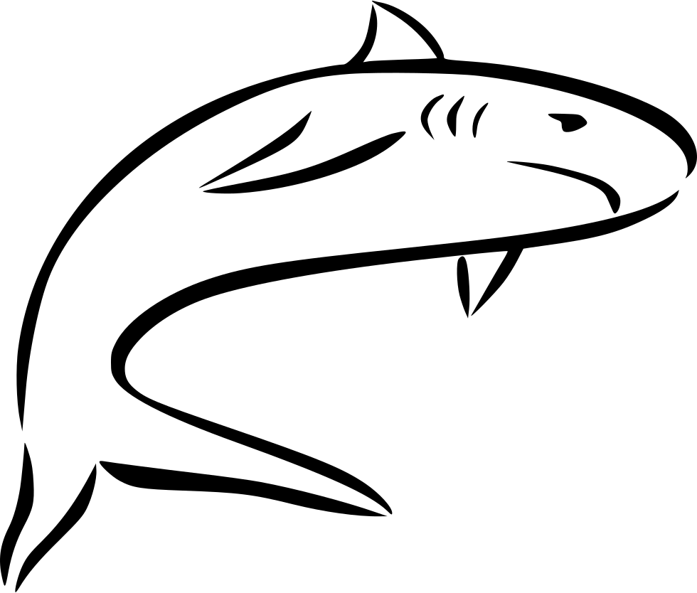 980 X 834 6 - Great White Shark (980x834)