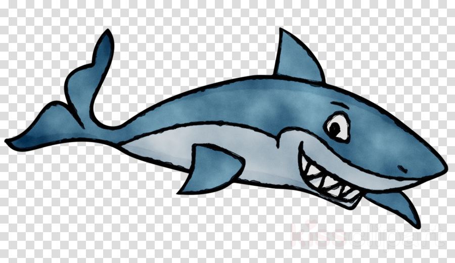 Common Bottlenose Dolphin Clipart Common Bottlenose - Mclaren 570s Clipart (900x520)
