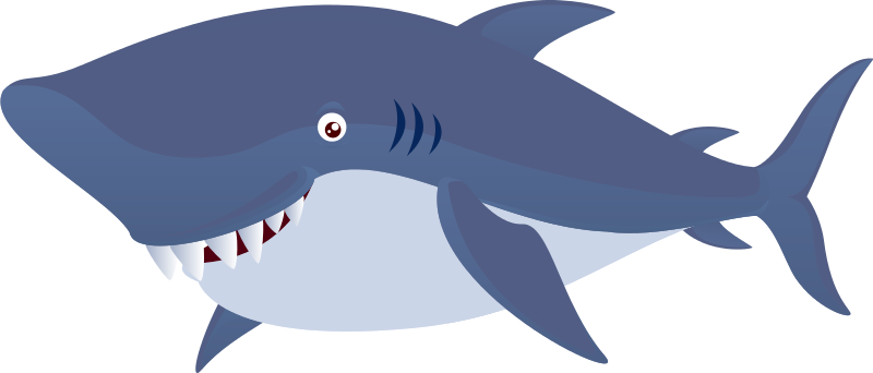 Wgp Swim Lessons - Cetacea (800x342)