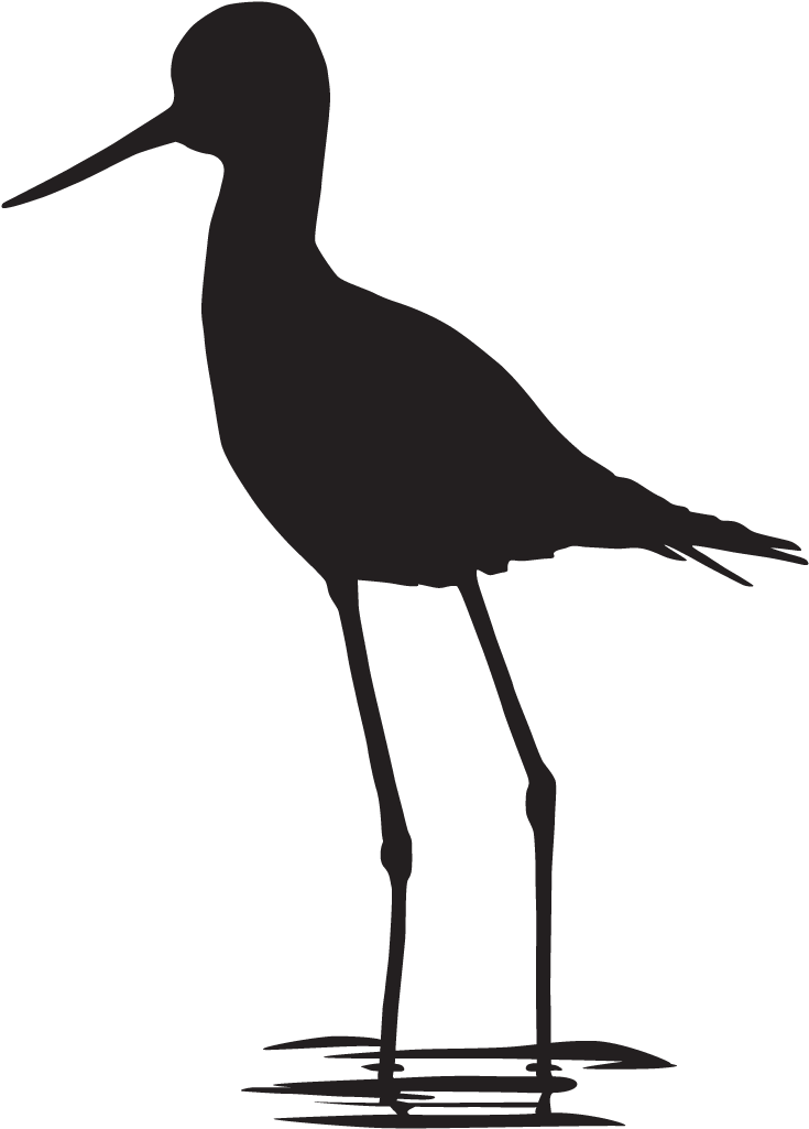 Black-necked Stilt - Black Necked Stilt Silhouette (1024x1024)