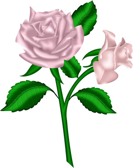 Gin, Flower Art, Digital Art, Envelopes, Clip Art, - Green Beautiful Flowers Clipart (452x568)