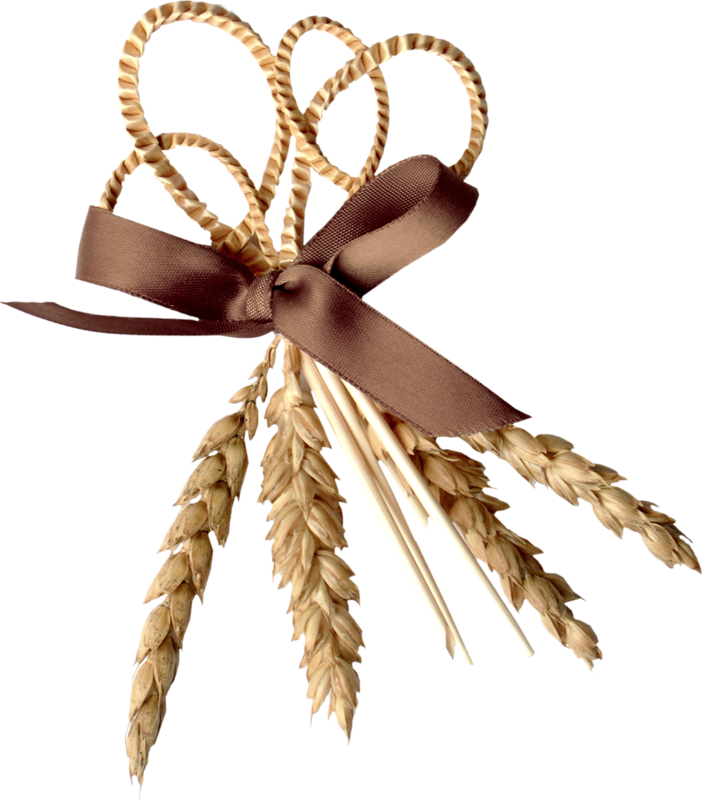Яндекс - Фотки - Einkorn Wheat (702x800)