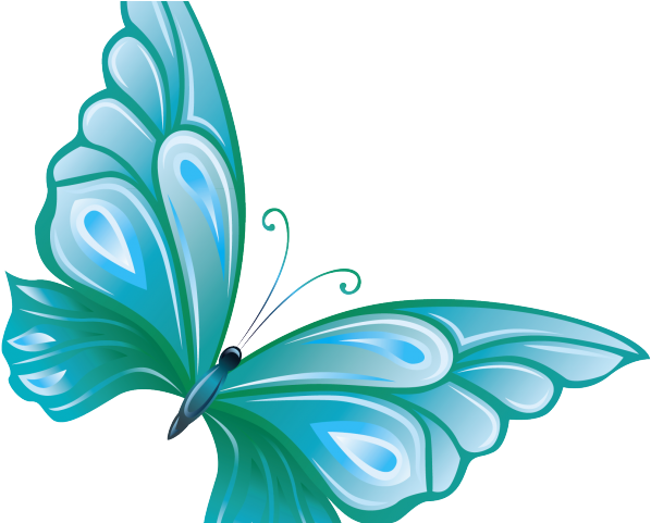 Turquoise Clipart Transparent Background - Butterfly Clipart Transparent Background (640x480)