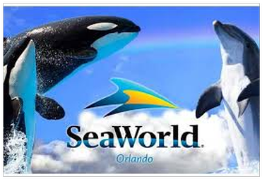 Seaworld Orlando - Sea World Orlando (532x399)