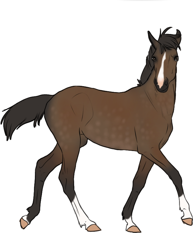 View Topic Mystery Foal Adopts Choose Your - Sorrel (900x853)