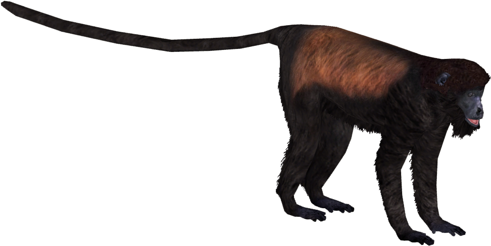 X Ray Clipart Macaque - Howler Monkey Png (971x971)