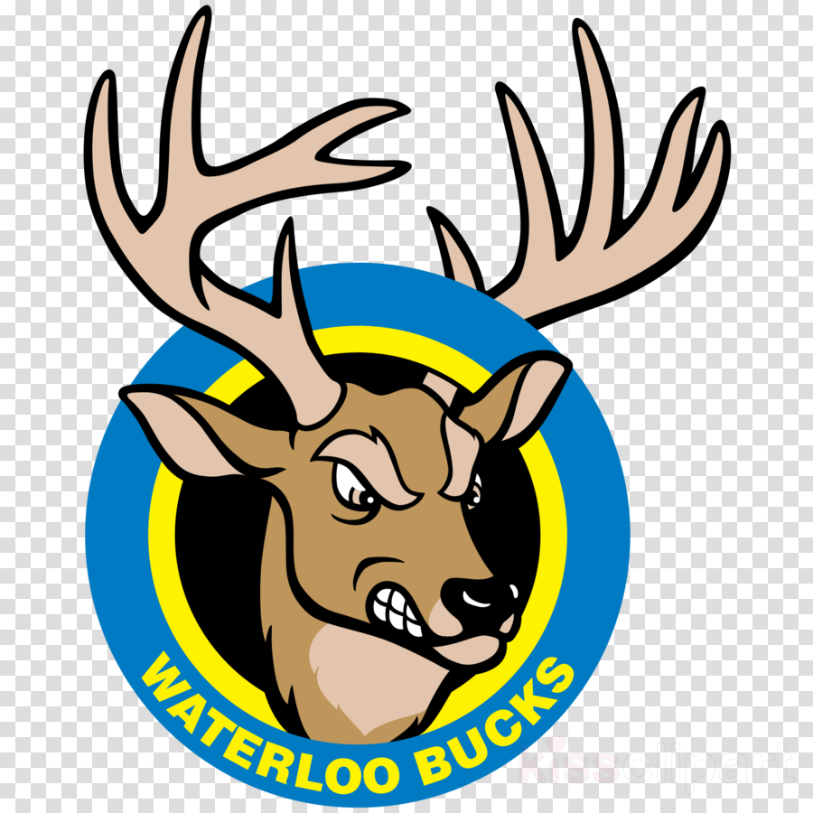 Waterloo Bucks Clipart Waterloo Bucks Waterloo Riverfront - Waterloo Bucks Logo (900x900)