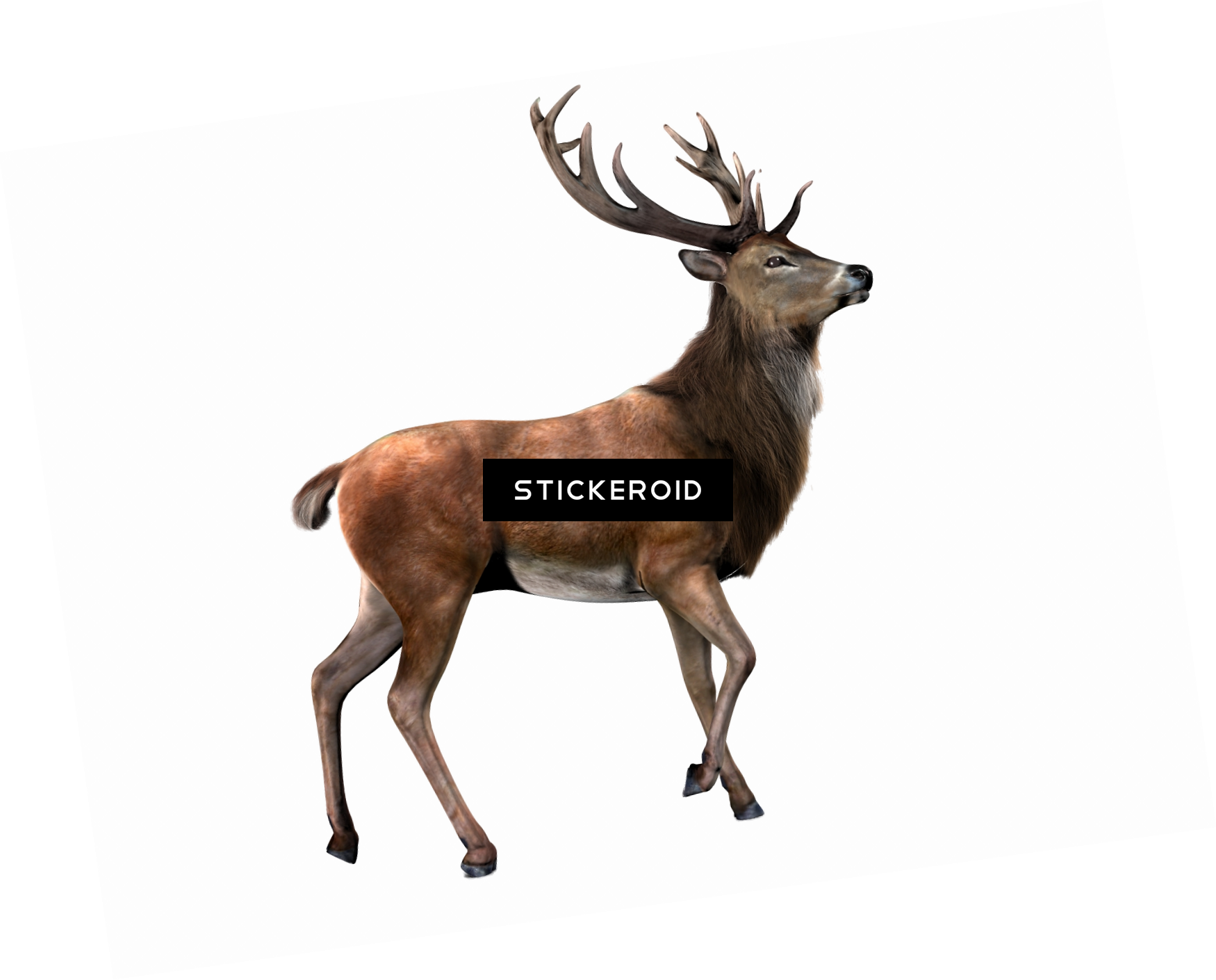 With Background Png Transparent Background - Transparent Background Png Animals (1750x1410)