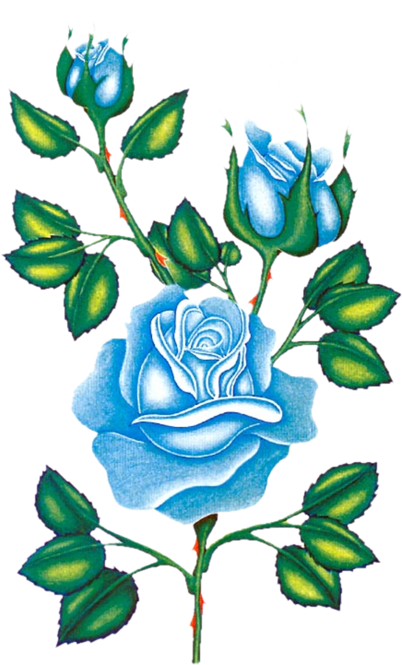 You Can Download Free Rose Png Images With Transparent - Floribunda (800x1322)