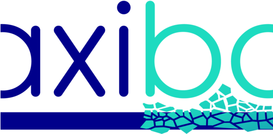 Eu Maxibone General Assembly 11-12 Feb - Eu Maxibone General Assembly 11-12 Feb (531x375)