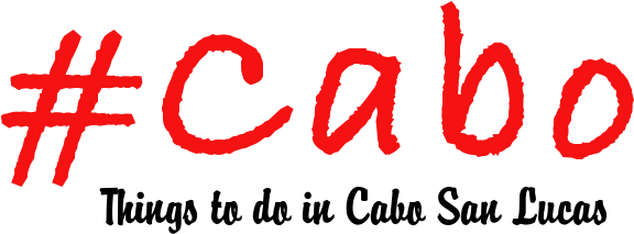 Things To Do In Cabo Logo Long - Things To Do In Cabo Logo Long (600x222)