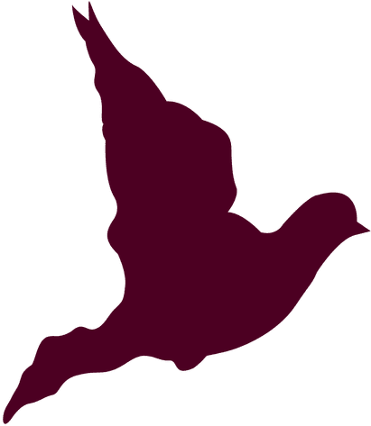 Flying Sequence Silhouette - Illustration (512x512)