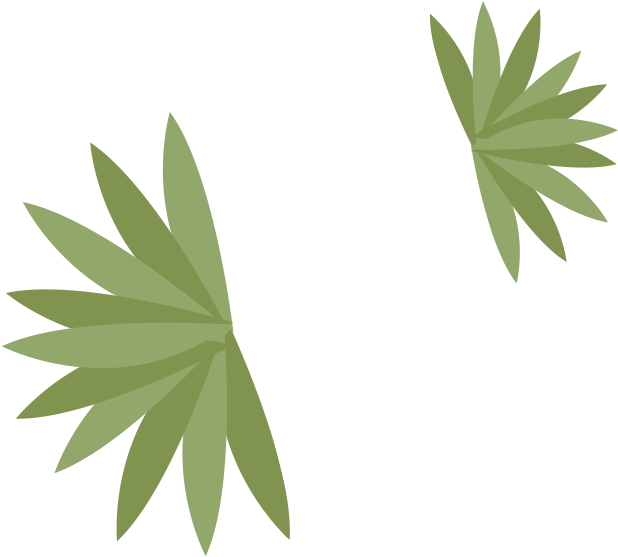 Food Coloring (800x800)