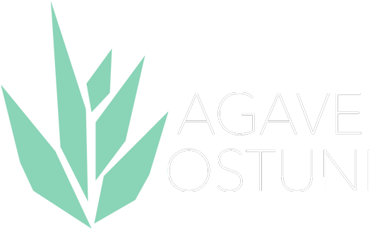 Villa Agave Ostuni - Villa Agave Ostuni (703x335)