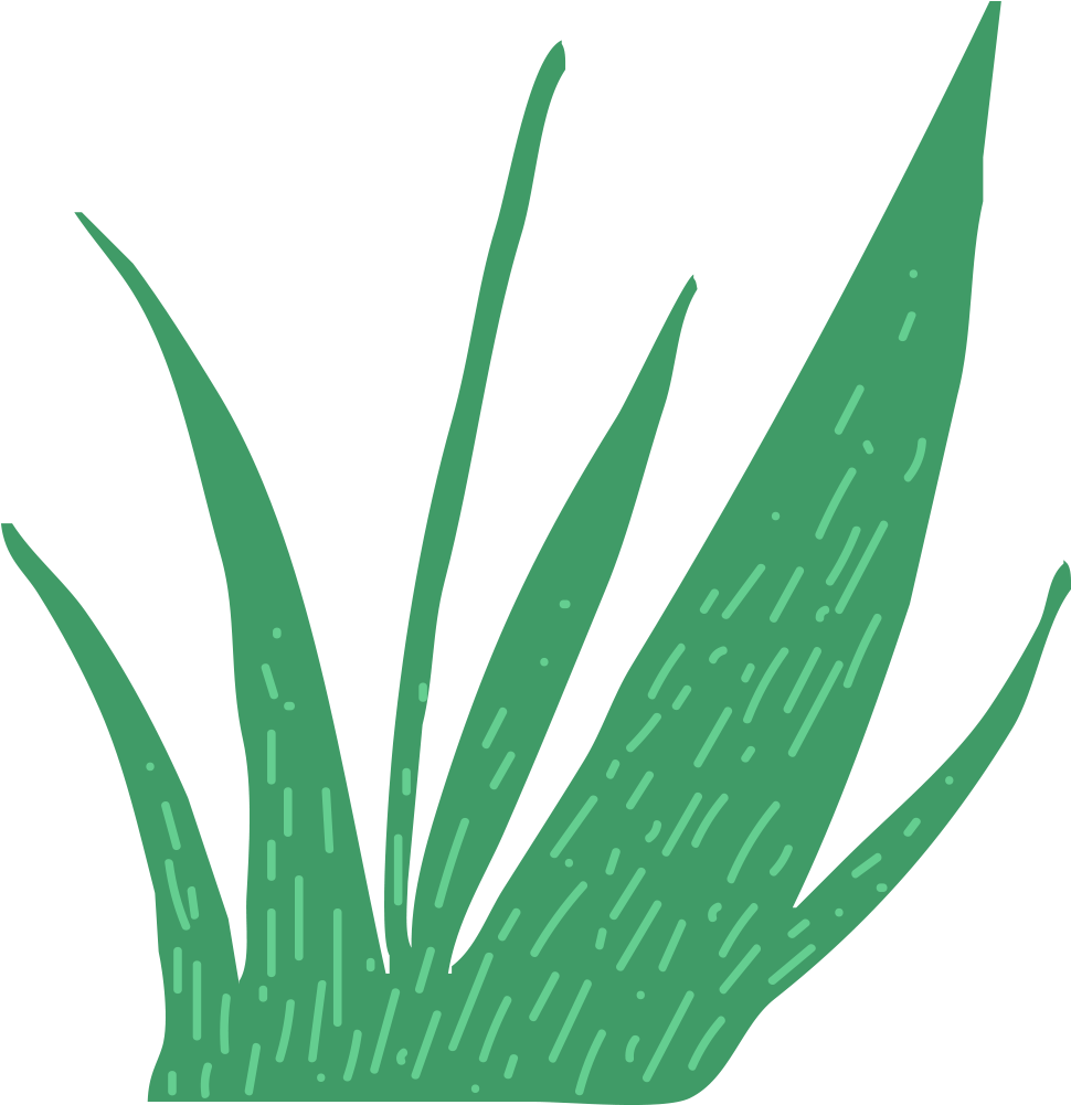 This Is A Sticker Of Grass - Agave Azul (1000x1000)