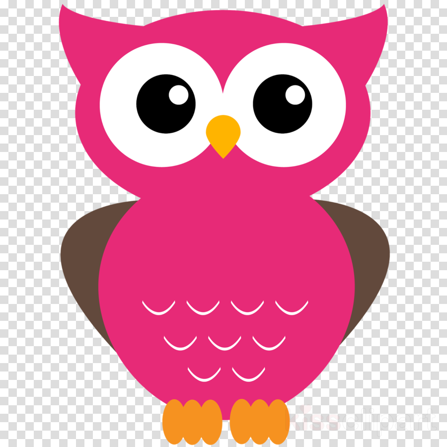 Hibou Vert Clipart Owl Clip Art - White X In Red Circle (900x900)
