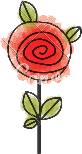 Watercolor Drawing Red Rose - Red Roses Drawing Watercolor (800x800)