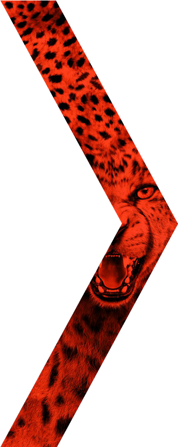 Nike Mercurial Tiger Face Edit (480x891)
