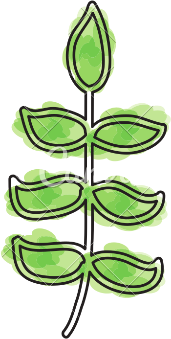 Watercolor Bush Cartoon - Illustration (800x800)