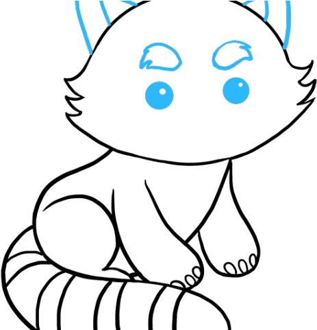 Drawn Red Panda - Red Panda Drawing Step By Step (640x480)