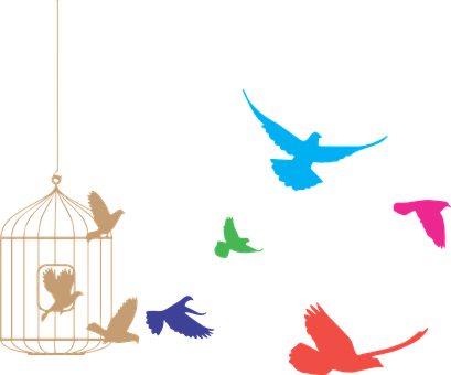 Birds, Cage, Freedom, Product, Eps - Flock Of Birds Clipart (409x340)